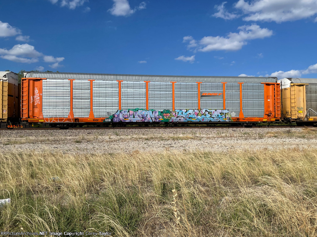 BNSF 303019